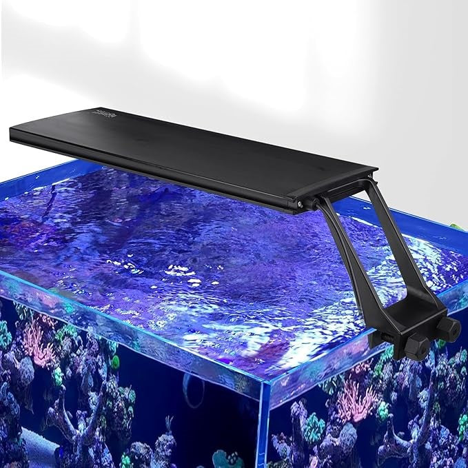 APEX Saltwater Clip On Light (HG990-Sea)