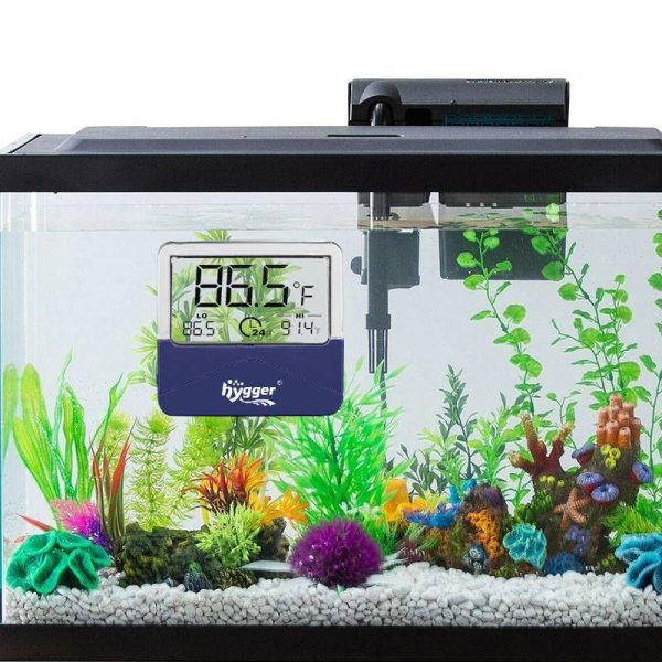 Digital Thermometer (HG073-L)